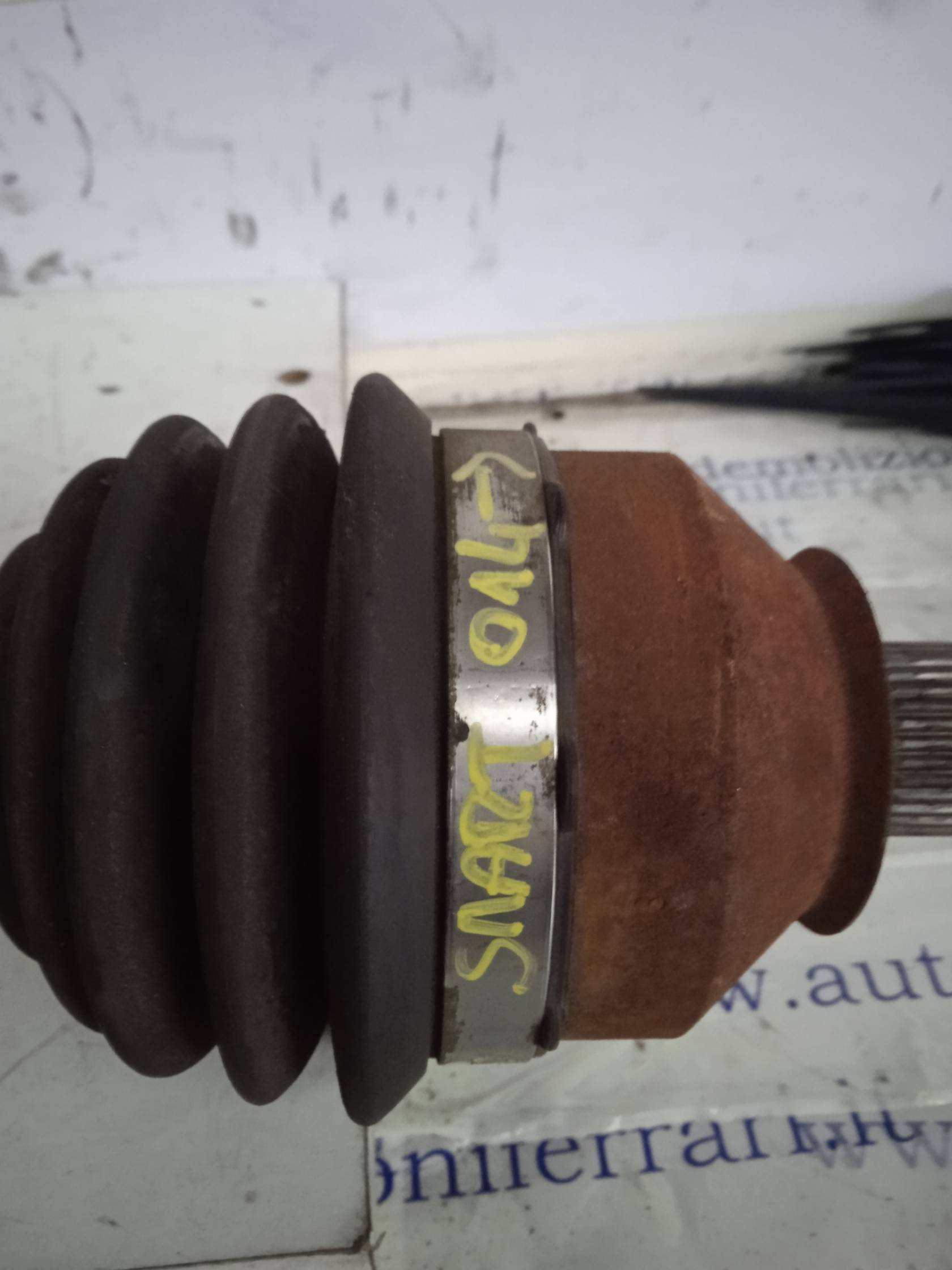 Semialbero ant. compl. sx.